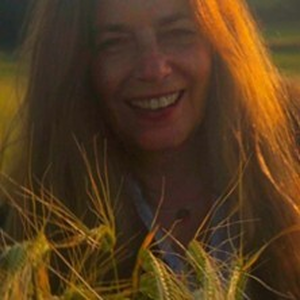 Illustration Denise Mangiardi Quartet