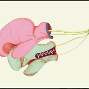 Illustration Des Hommes Endormis - Théâtre de l'Athénée, paris