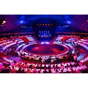 Illustration Diner spectacle du nouvel an au Cirque Arlette Gruss