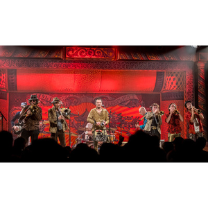 Illustration Dolores Crocos