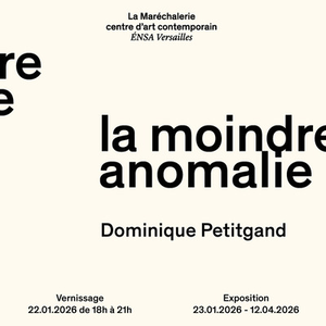 Illustration Dominique Petigand - La moindre anomalie