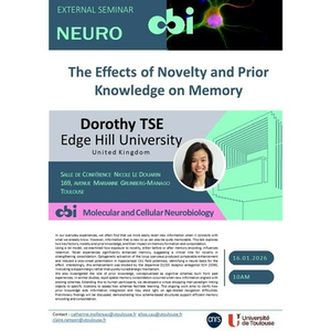 Illustration Dorothy TSE "The Effects of Novelty and Prior Knowledge on Memory"
