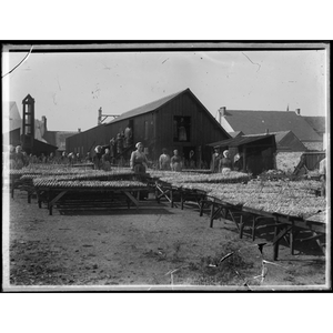 Illustration Douarnenez, 1924, la lutte des Sardinières