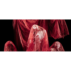 Illustration DRACULA – LUCY’S DREAM