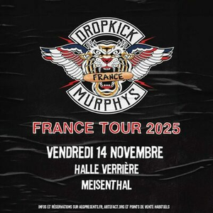 Illustration Dropkick Murphys en concert