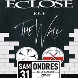 Illustration Eclose joue Pink Floyd the Wall