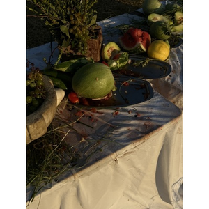 Illustration Efthimios Moschopoulos - Fae