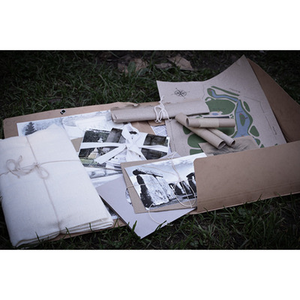 Illustration Enquête au cœur du Jardin Public : le voyage du Magnolia Géant