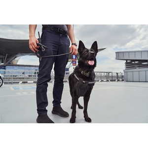 Illustration Entre amour et violence : les relations de travail entre humains et animaux