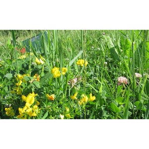 Illustration Entretien de la clôture : et si on ne perdait pas le fil ?