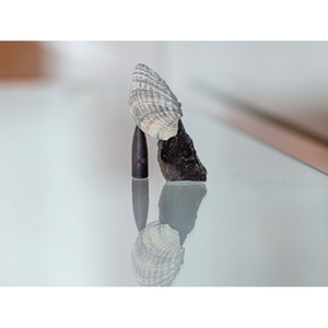 Illustration États de jeu