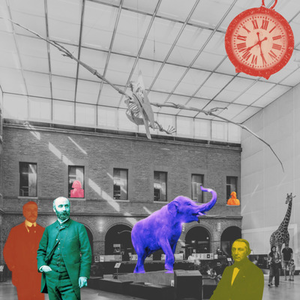 Illustration Exploration étonnante : les secrets du Muséum révélés