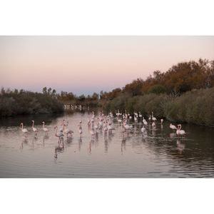 Illustration Exposition Chambre 207