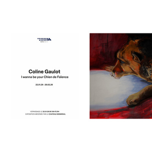 Illustration Exposition de Coline Gaulot à la Zone Trois Galerie