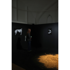 Illustration Exposition de la saison