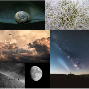 Illustration Exposition des 6 lauréats du concours photo du Muséum