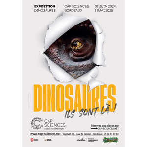 Illustration Exposition Dinosaures