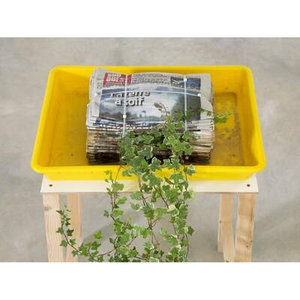 Illustration Exposition «La Clé Duchamp #3 : Vivant !»