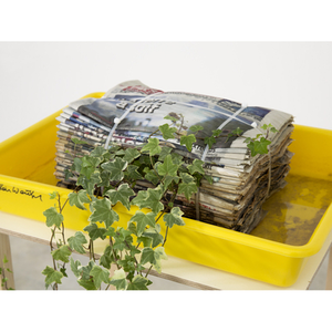 Illustration Exposition « La Clé Duchamp #3 : Vivant ! »