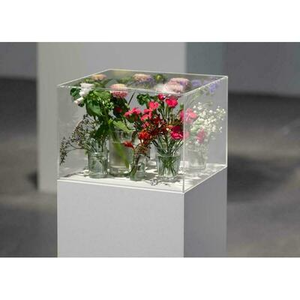 Illustration Exposition "Pollen" au CAPC de Bordeaux