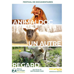Illustration Festival AnimalDoc - Un autre regard