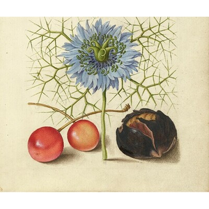 Illustration Festival du Printemps de l'Abbatiale : Ensemble Baroque de Rennes - "Terres d'ici et d'ailleurs"