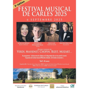 Illustration Festival Musical de Carles - 5ème édition !