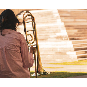 Illustration Fête cuivrée