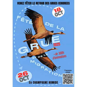 Illustration Fête de la Grue et de la Migration