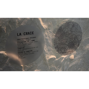 Illustration Février des Sciences - Des fossiles sous nos pas - Visite-atelier 🖼️