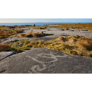 Illustration Février des sciences - Géologie en Nord, voyage des tropiques aux pôles - Rencontre 🌍