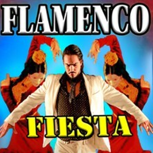 Illustration Flamenco Fiesta