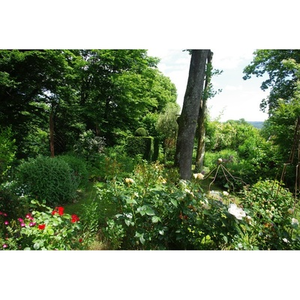 Illustration Flânerie au jardin