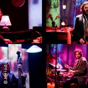 Illustration Flash Pig - The Mood For Love