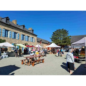 Illustration Fleurs d'été