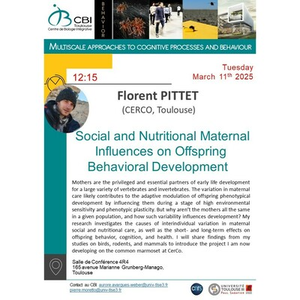 Illustration Florent PITTET "Social and Nutritional Maternal Influences on Offspring Behavioral Development "