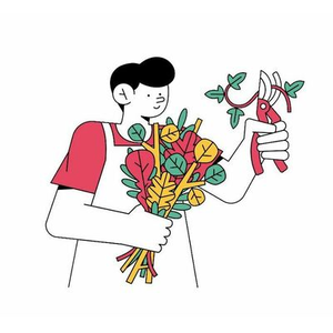 Illustration Formation Jardin