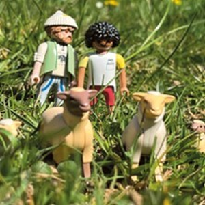 Illustration Foutue Bergerie - Théâtre du Rond-Point , Paris