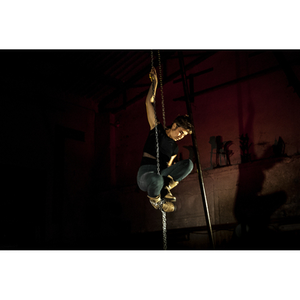 Illustration Fragments - Bêtes de rue