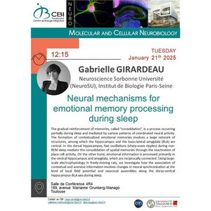 Illustration Gabrielle GIRARDEAU "Neural mechanisms for emotional memory processing during sleep"