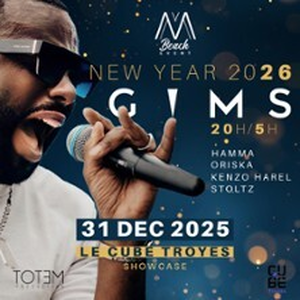 Illustration GIMS Troyes Nouvel An 2026