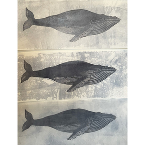 Illustration Glaz-louet