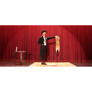 Illustration GOUPIL ET KOSMAO