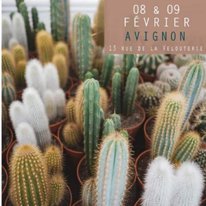 Grande vente de plantes