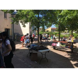 Illustration Gratiferia