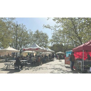 Illustration Green Market à Belcier