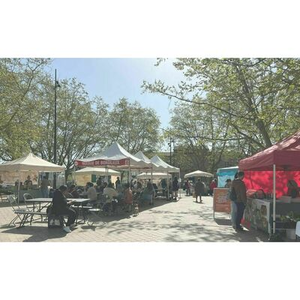 Illustration Green Market Belcier