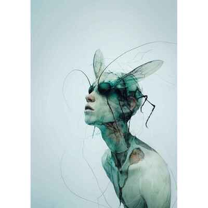 Illustration Grégoire d'après Franz Kafka - Théâtre du Rictus