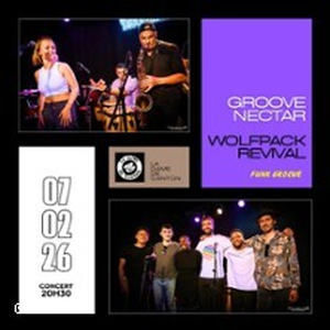 Illustration Groove Nectar x Wolfpack Revival