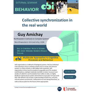 Illustration Guy AMICHAY - Collective synchronization in the real world